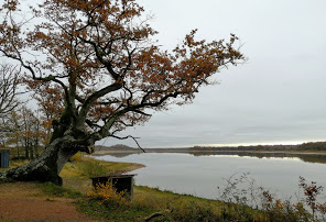 https://www.parc-naturel-brenne.fr/